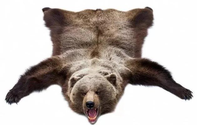 шкура медведя