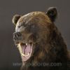 Крупный декоративный медведь 240 см – Фотография № 2.