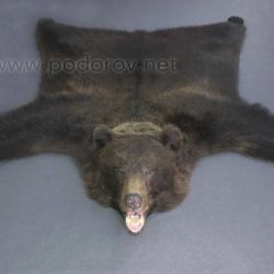 Шкура медведя 180 см