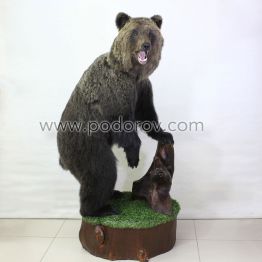 Чучело медведя с корягой