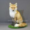 Реалистичное чучело рыжей лисы – Фотография № 2.