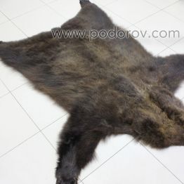 Шкура медведя без головы 210 см