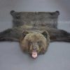 Шкура медведя 150 см – Фотография № 1.