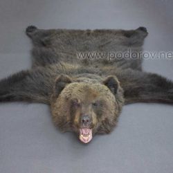Шкура медведя 150 см